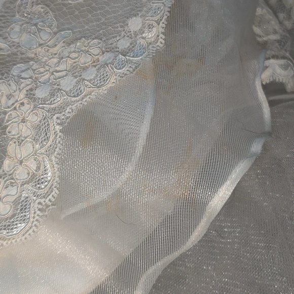 Enzoani Lace Diana  Ivory Wedding Dress, size 8. - Picture 12 of 12